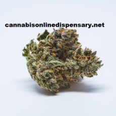 Blue Dream Marijuana Strain