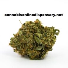 Bubba Kush Marijuana Strain