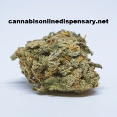 White Widow Marijuana Strain