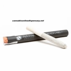 NATIV Black Label Prerolls