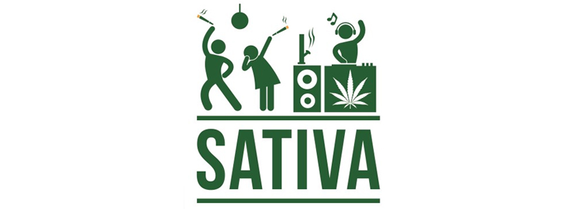 indica cannabis leaf