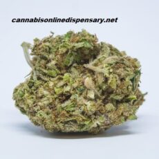 Agent Orange Marijuana Strain