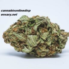 Tahoe OG Kush Marijuana Strain