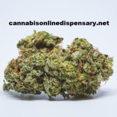 Death Star Marijuana Strain