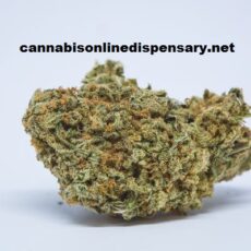 Durban Poison Marijuana Strain