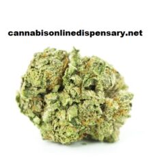 Granddaddy Purple Marijuana Strain