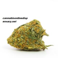 Lemon Skunk Marijuana Strain