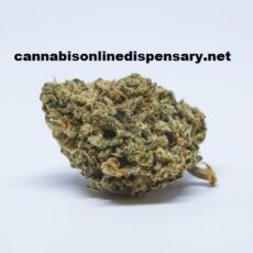 Maui Wowie Marijuana Strain