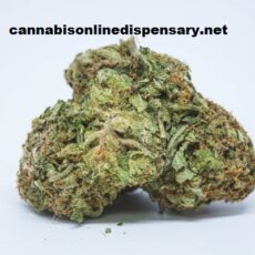 OG Kush Marijuana Strain