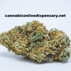 Pineapple Express Marijuana Strain