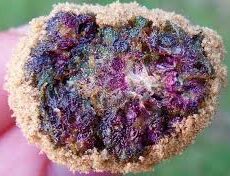 Purple Moon Rock