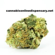 Strawberry Cough Marijuana Strain