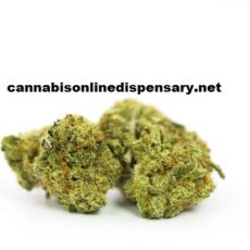 Super Silver Haze Marijuana Strain
