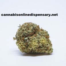 Trainwreck Marijuana Strain