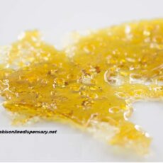 Violator Kush Shatter