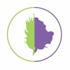 Hybrid Marijuana Strains