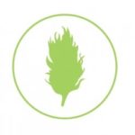 buy marijuana online