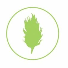 Sativa Marijuana Strains