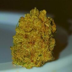 Acapulco Gold Marijuana Strain