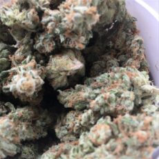 Afghani Marijuana Strain
