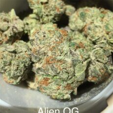 Alien OG