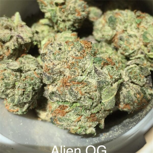 Alien OG
