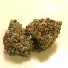 Animal Cookies