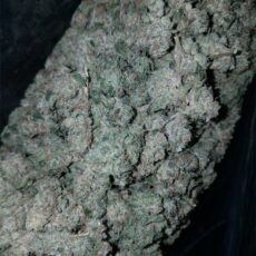 Banana OG