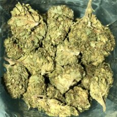 Blackberry Kush