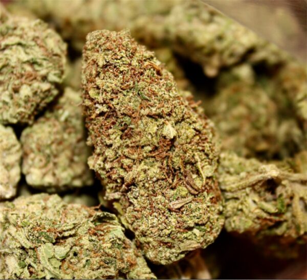Candy Jack, Candy Jack Marijuana Strain