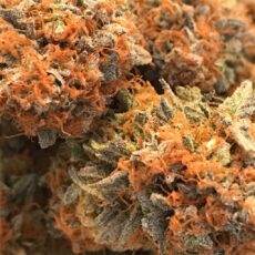 Cannatonic, Cannatonic Marijuana Strain