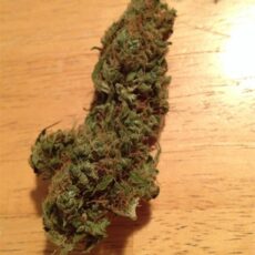 Charlotte's Web Marijuana Strain