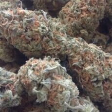 Cheese, Cheese Marijuana Strain