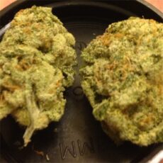 Cinex, Cinex Marijuana Strain