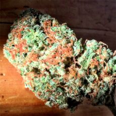 Clementine, Clementine Marijuana Strain