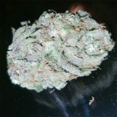 Colombian Gold, Colombian Gold Marijuana Strain