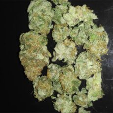 Cookies Kush