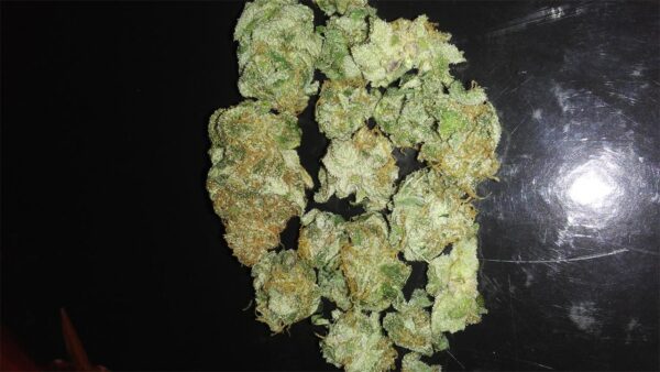 Cookies Kush