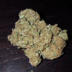 Critical Mass