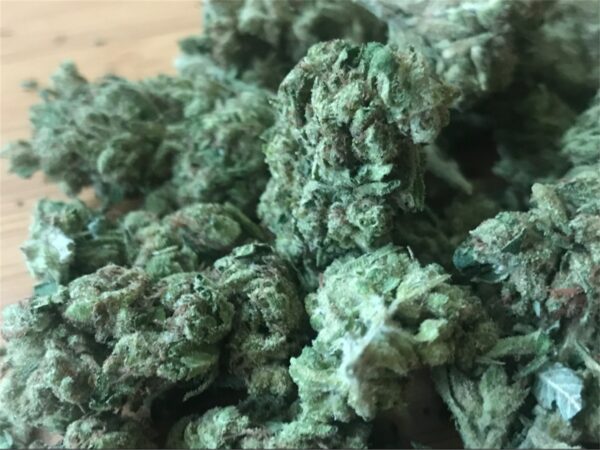 East Coast Sour Diesel