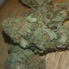 Ghost OG