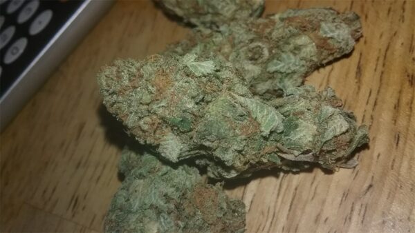 Ghost OG