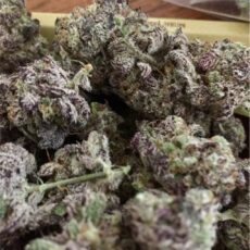 Gorilla Cookies