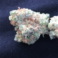 Grapefruit Marijuana Strain