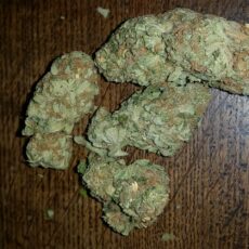 Hawaiian, Hawaiian Marijuana Strain