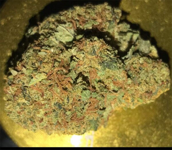 Island Sweet Skunk