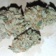 Jack the Ripper
