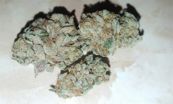 Jack the Ripper