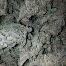 Khalifa Kush