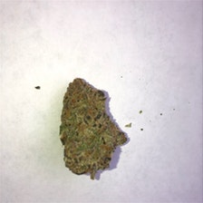 Mimosa Marijuana Strain